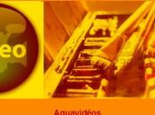 Aquavidéo Milind Mulick Aquarelliste indien