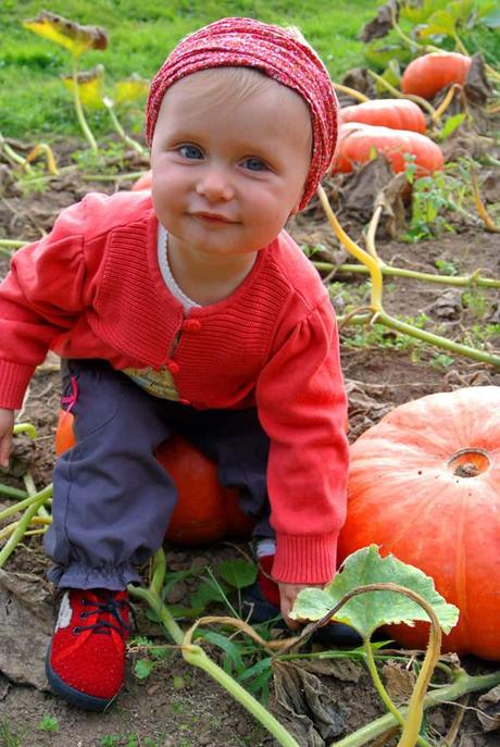 La citrouille - une belle déco d'automne