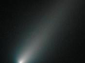 comète ISON nouveau photographiée Hubble