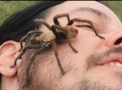 Rencontre avec mygale