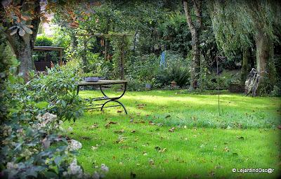 Jardin d'Automne...