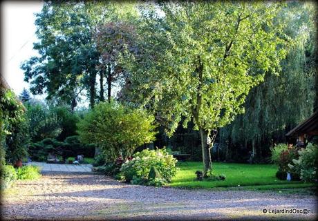Jardin d'Automne...