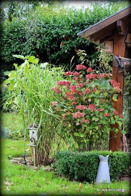 Jardin d'Automne...