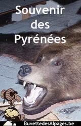 La vraie place de l'ours dans les Pyrénés est au Museum