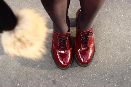 Un renard à l'Opéra