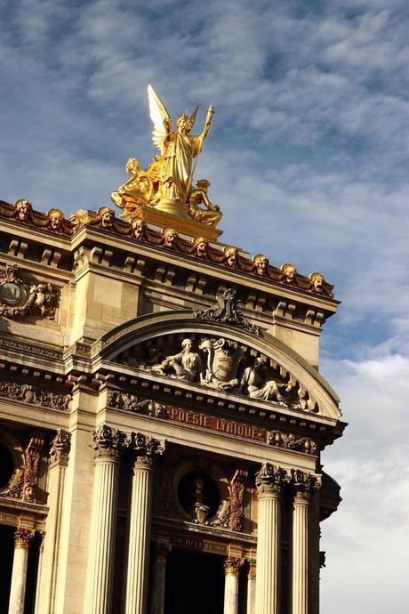 Un renard à l'Opéra