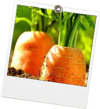 La To Do Green de la semaine – 21 au 27 octobre 2013 6 - carrotmob