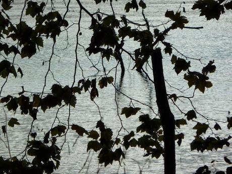 Le village de La Bastide-Clairence au Pays Basque