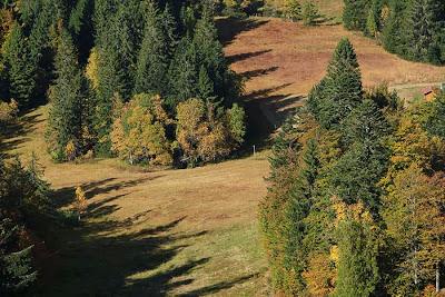 Les couleurs du Schmargult