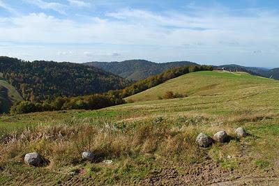 Les couleurs du Schmargult