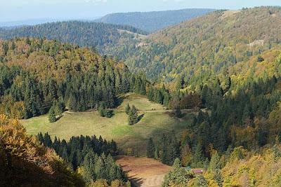 Les couleurs du Schmargult