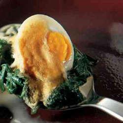 Gratin d'oeufs, sauce hollandaise