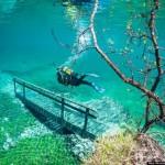 EVASION: Un parc à découvrir en plongeant !