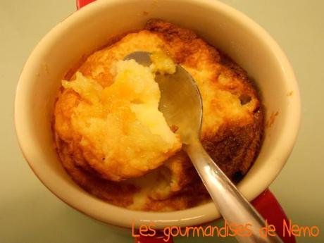clafoutis-cocotte--1-.JPG