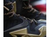 Nike LeBron Black Gold