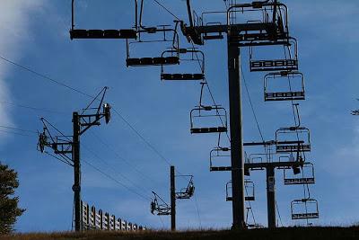 Schmargult anthropique