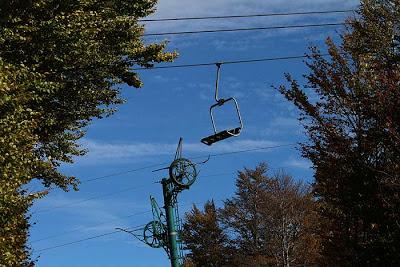 Schmargult anthropique