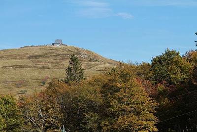 Schmargult anthropique