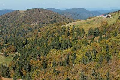 Schmargult anthropique