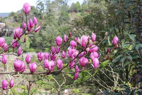 voyage,lisbonne,portugal,sintra,palais national de sintra