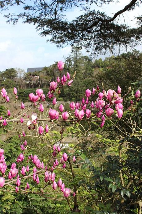 voyage,lisbonne,portugal,sintra,palais national de sintra