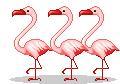 flamingo trio gif