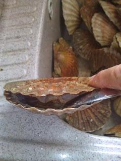 Un avant goût des fêtes...