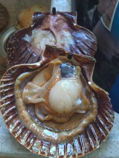 Un avant goût des fêtes...