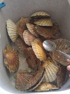 Un avant goût des fêtes...