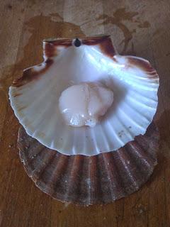 Un avant goût des fêtes...