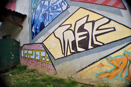 Fresque SnowBoArt 10