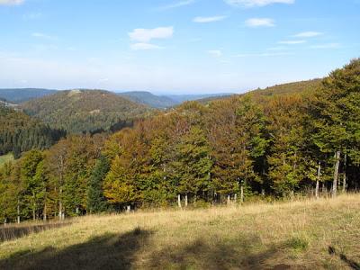 Couleurs des Vosges
