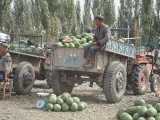 Kashgar : des hommes et des bêtes