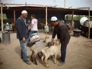 Kashgar : des hommes et des bêtes