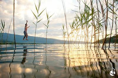 Note de Service : Welcome Home Mr.Z