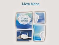 Le Cloud et la Business Intelligence : une combinaison gagnante ? - by Business et  Décision,