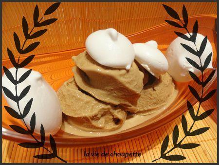 GLACE A LA CHICOREE Recettes_light 028