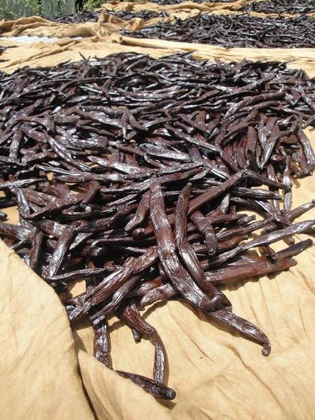 Au bout du monde {Part 2}