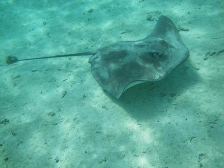 Au bout du monde {Part 2}