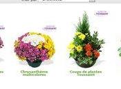 Livraison pour Toussaint avec Interflora