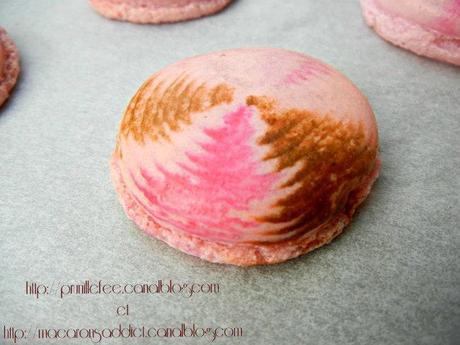 macarons framboise chocolat fantaisie
