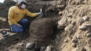 An archaeologist cleans a recently discovered tomb of an intact mummy of the Wari prehispanic culture in Lima's Huaca Pucllana ceremonial complex, at Miraflores