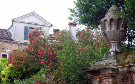 Jardin du rio de la Racheta