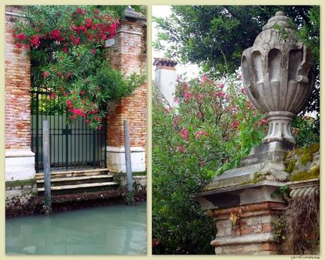 Jardin du rio de la Racheta