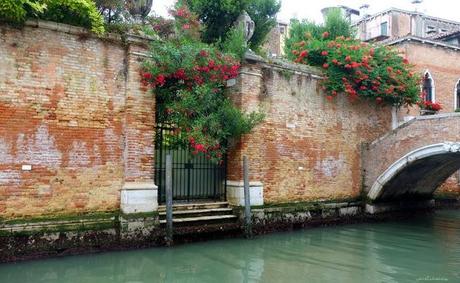 Jardin du rio de la Racheta