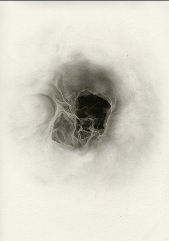 Paysage viscéral, Jill Ho-You