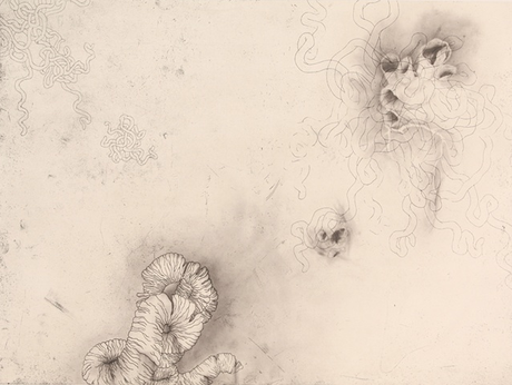 Paysage viscéral, Jill Ho-You