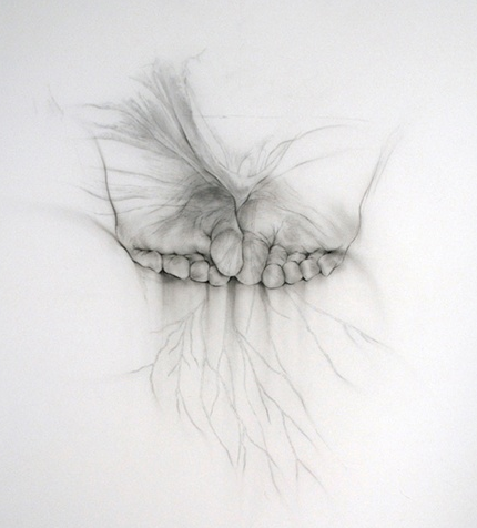 Paysage viscéral, Jill Ho-You