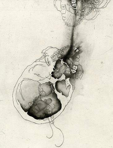 Paysage viscéral, Jill Ho-You