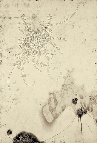 Paysage viscéral, Jill Ho-You